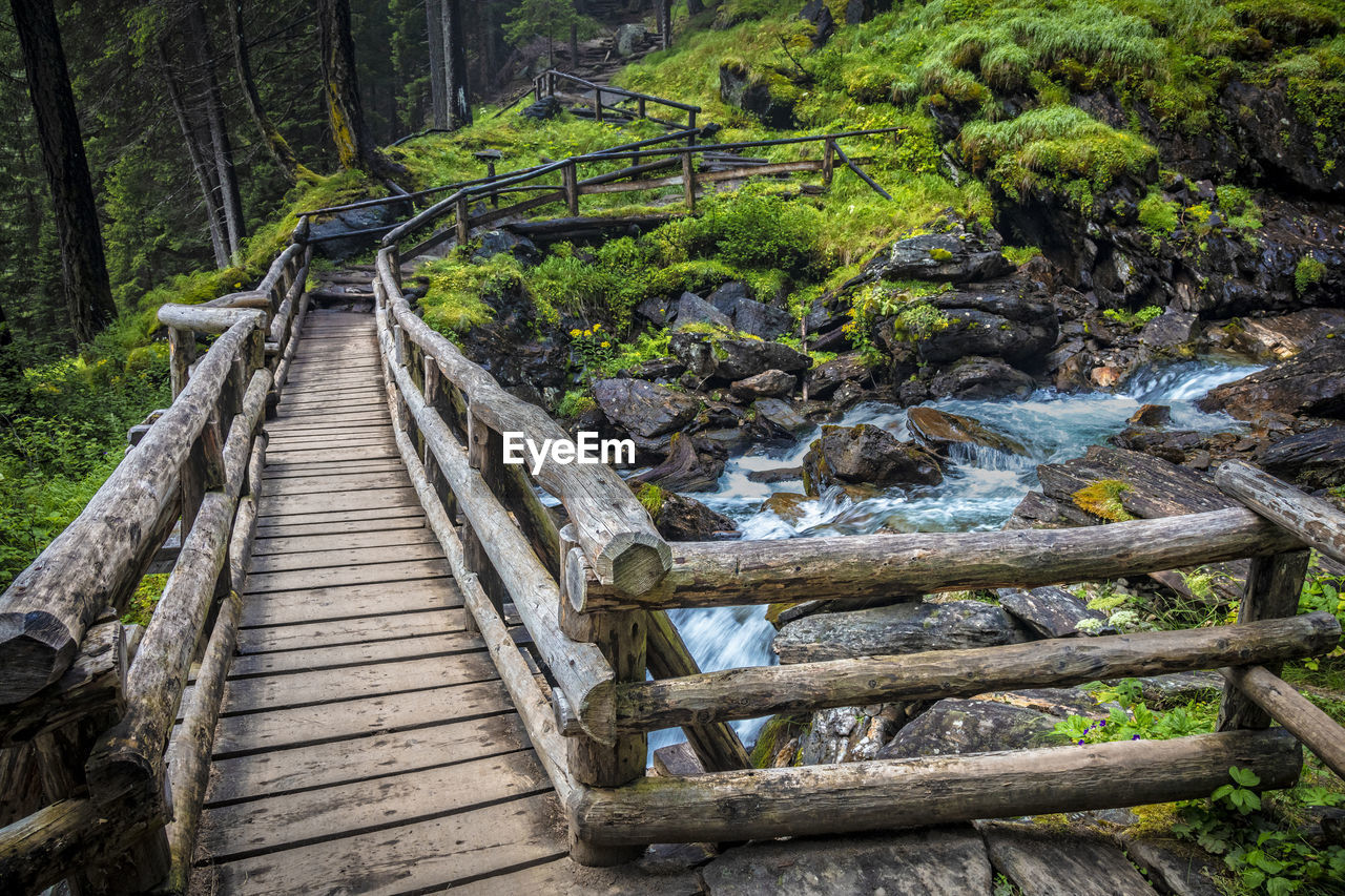 WOODEN FOOTBRIDGE AMIDST TREES