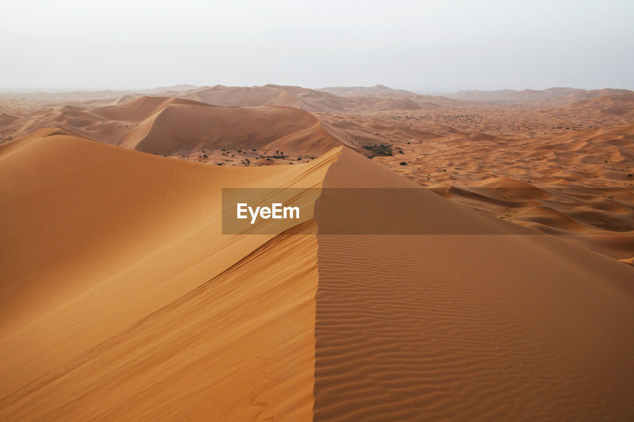 SCENIC VIEW OF SAND DUNES IN DESERT AGAINST SKY