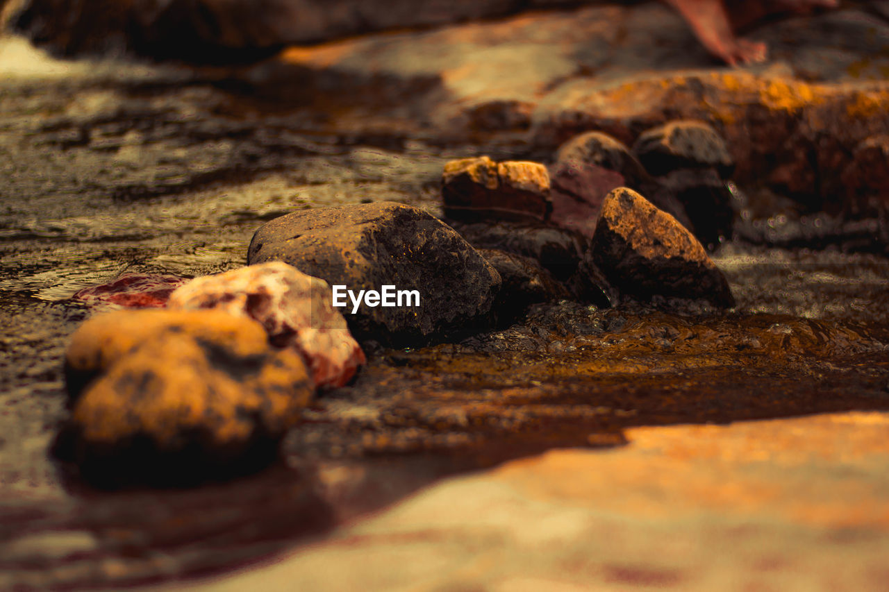 CLOSE-UP OF BREAD ON ROCKS