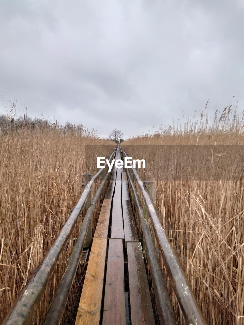 A path over a lake