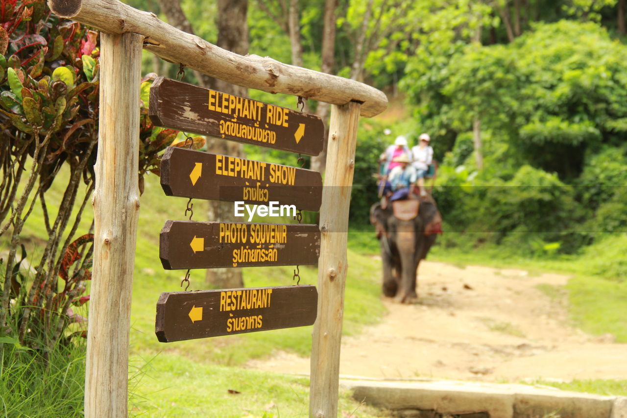 Information sign with people in background on elephant at forest