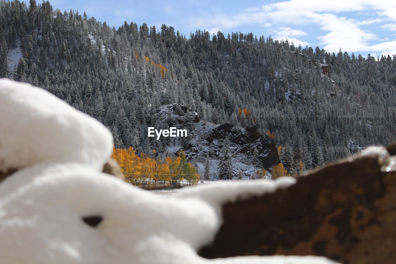 CLOSE-UP OF SNOW AGAINST MOUNTAIN