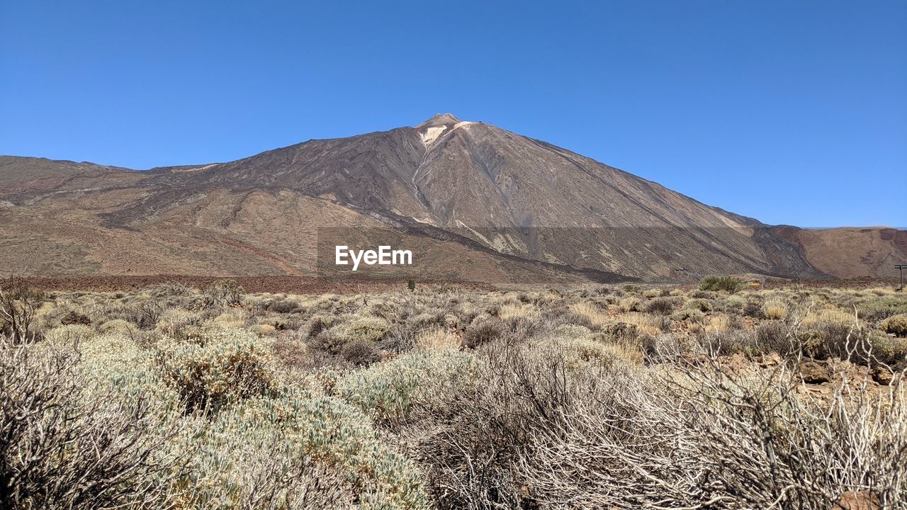 mountain, landscape, scenics - nature, wilderness, environment, sky, land, nature, beauty in nature, plant, no people, natural environment, non-urban scene, clear sky, geology, desert, volcano, travel destinations, blue, ridge, day, soil, climate, tranquil scene, plateau, tranquility, arid climate, outdoors, semi-arid, sunny, travel, physical geography, tree, grass, mountain range, rock, tourism, volcanic landscape, dry