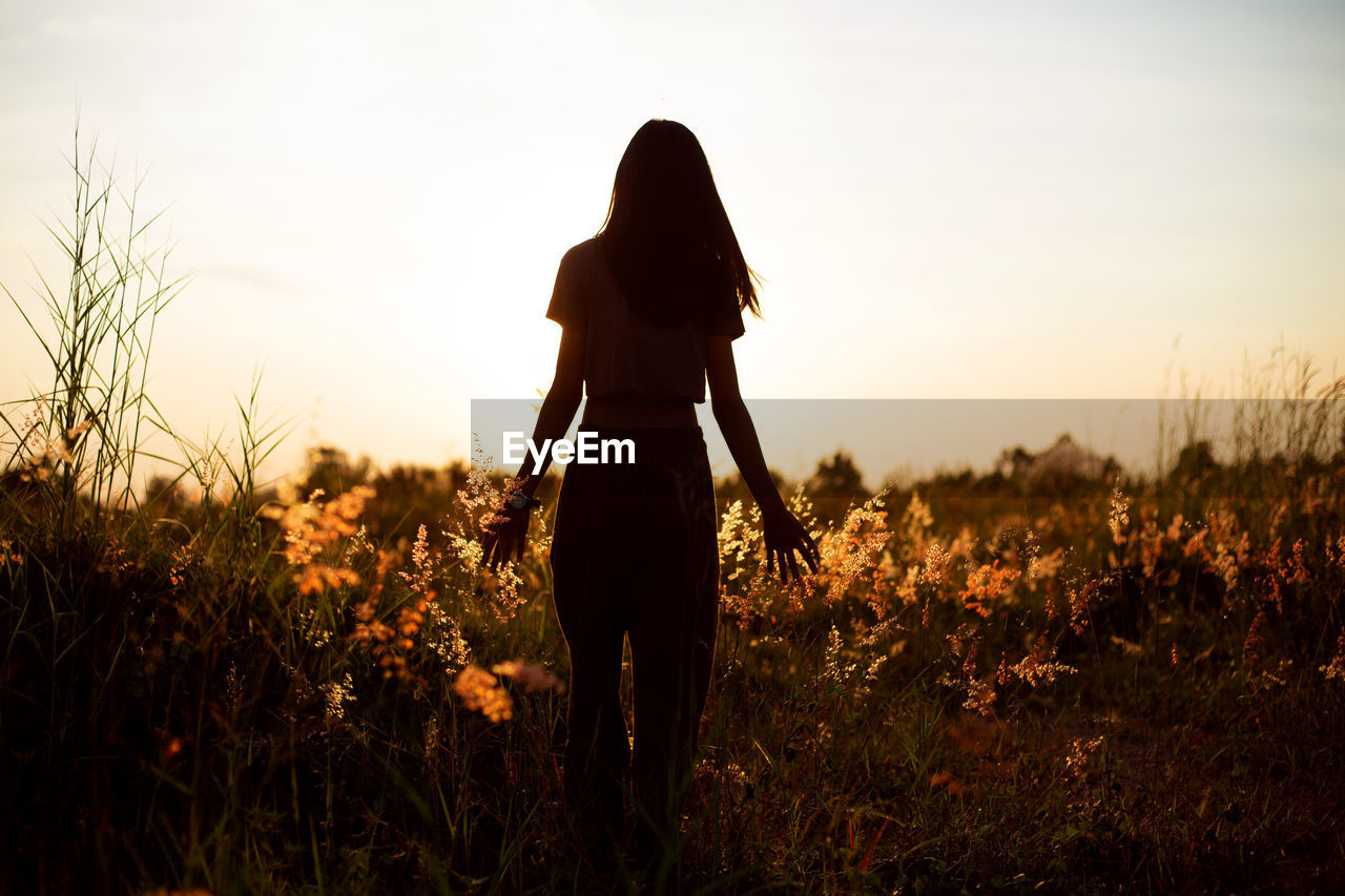 Young woman walking in spring field at sunset among fresh grass and touching yellow flowers.