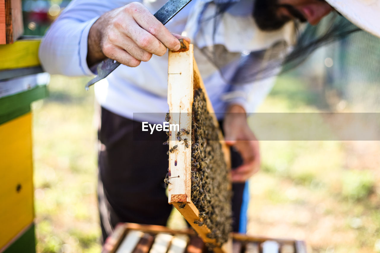 Close-up of man holding bee hive at farm