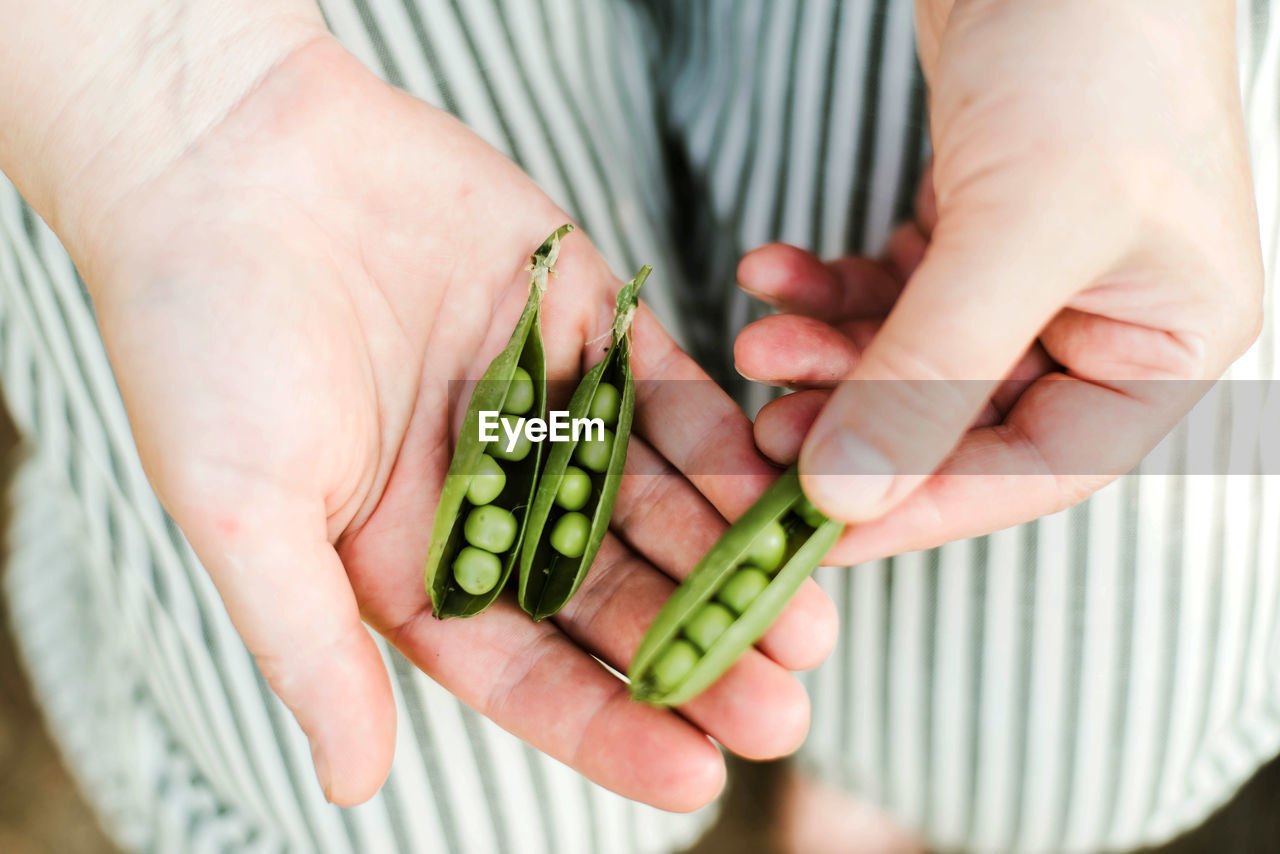 Woman holding peas in garden