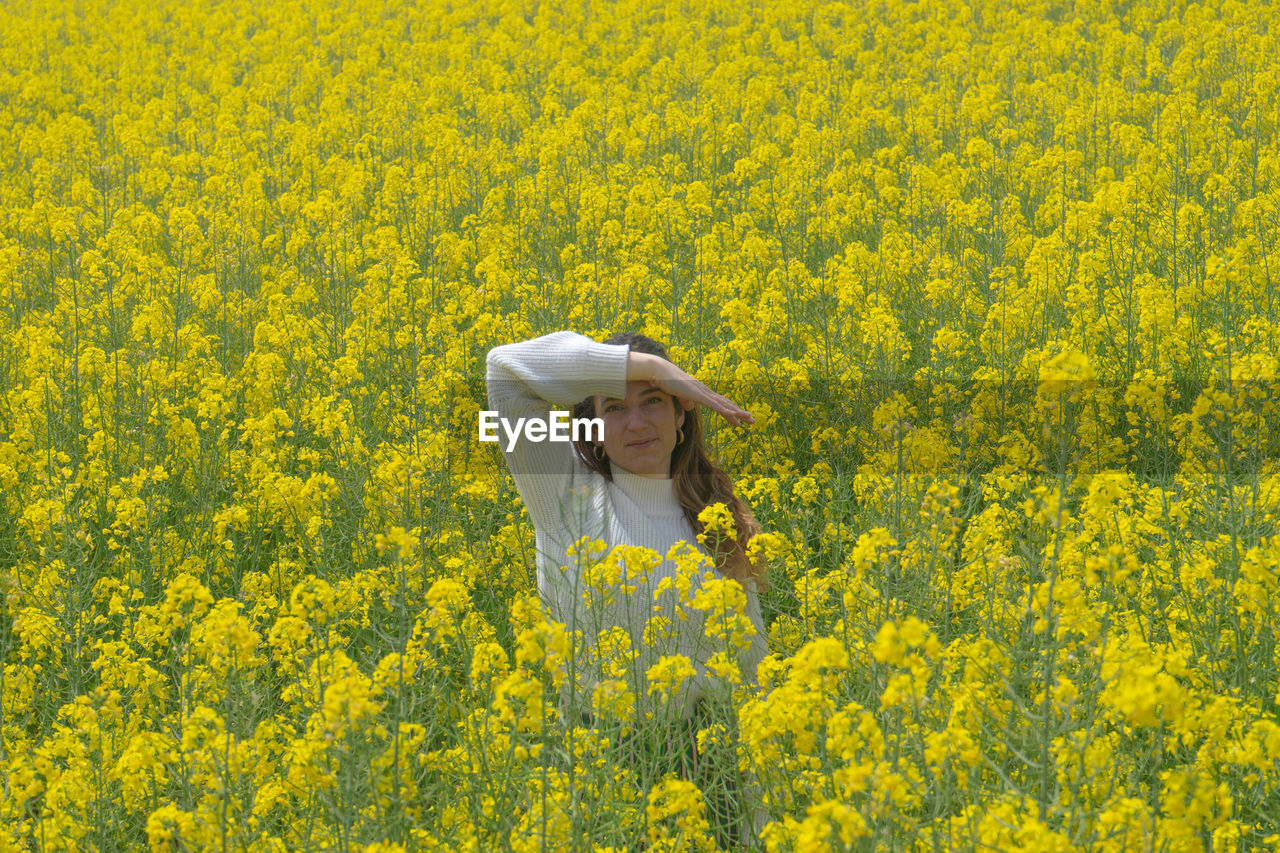 Close-up of yellow flowering plants on field and a girl in the middle