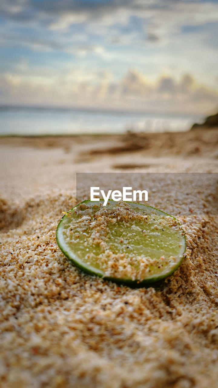 CLOSE-UP OF BREAD ON BEACH