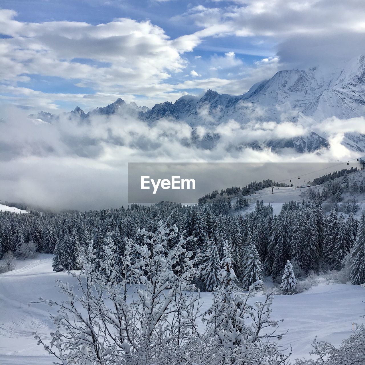 Eyeem Selects Snow Winter Cold Temperature Nature On Eyeem