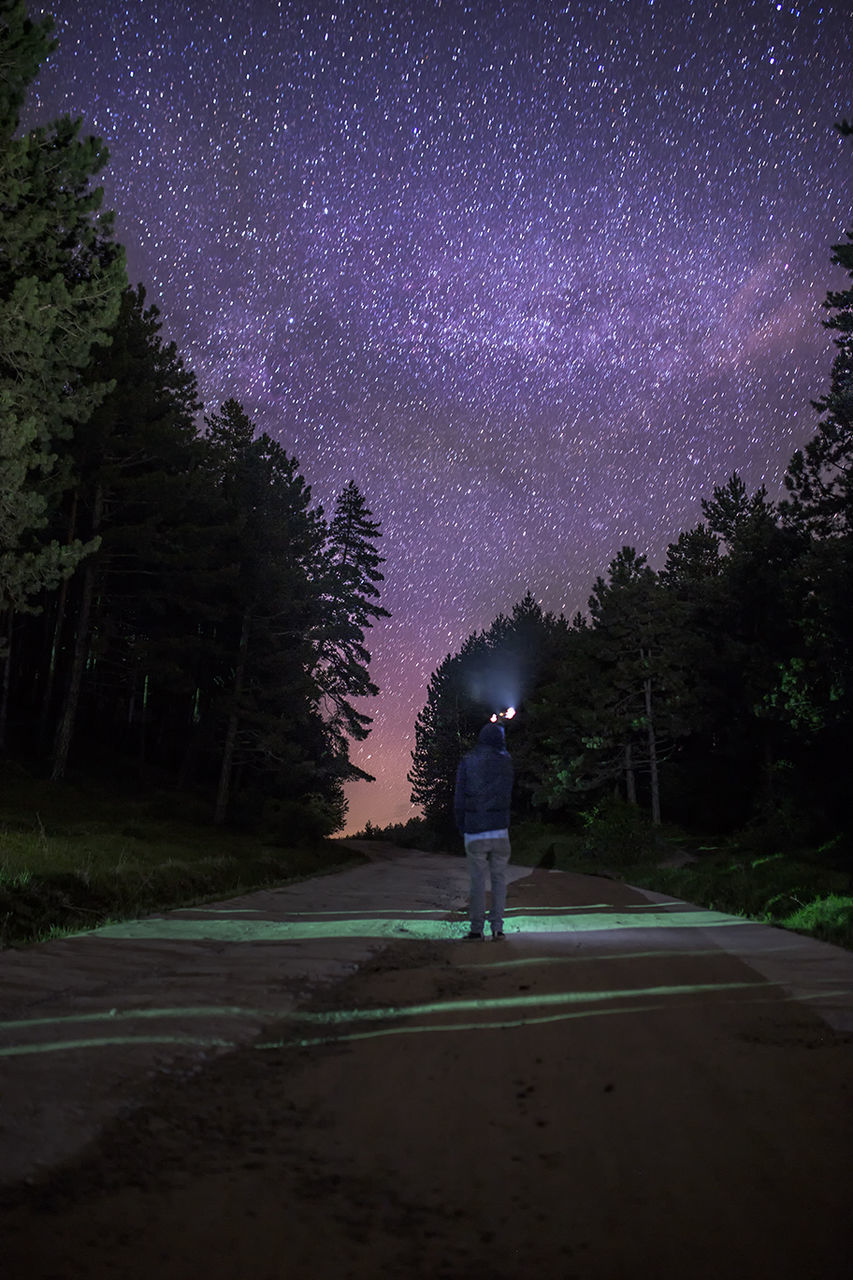 Man standing by tree against star field at night