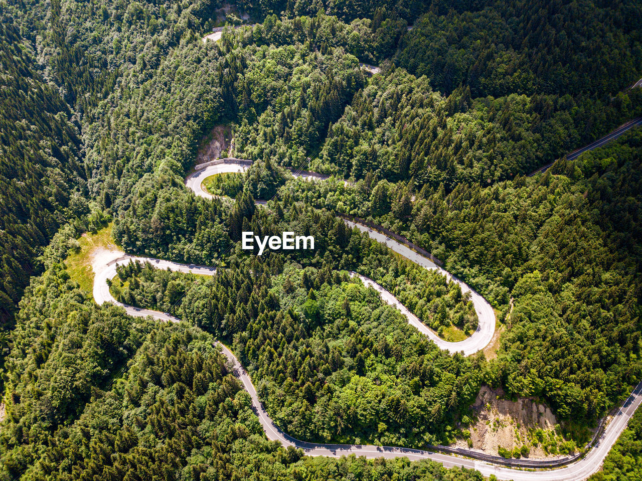 high angle view of road amidst trees in forest