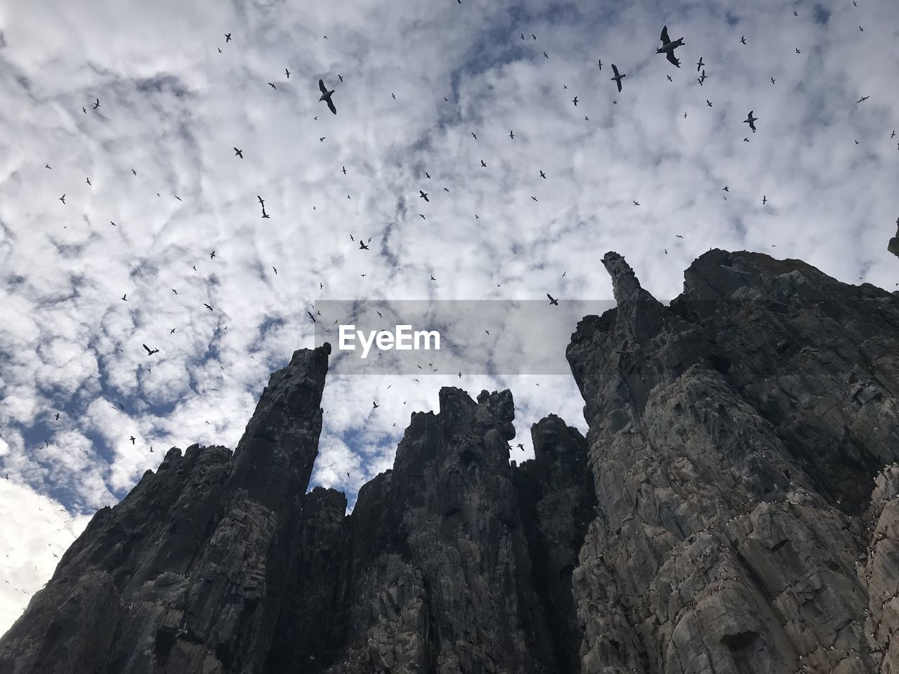 Low angle view of silhouette birds flying over mountains against cloudy sky