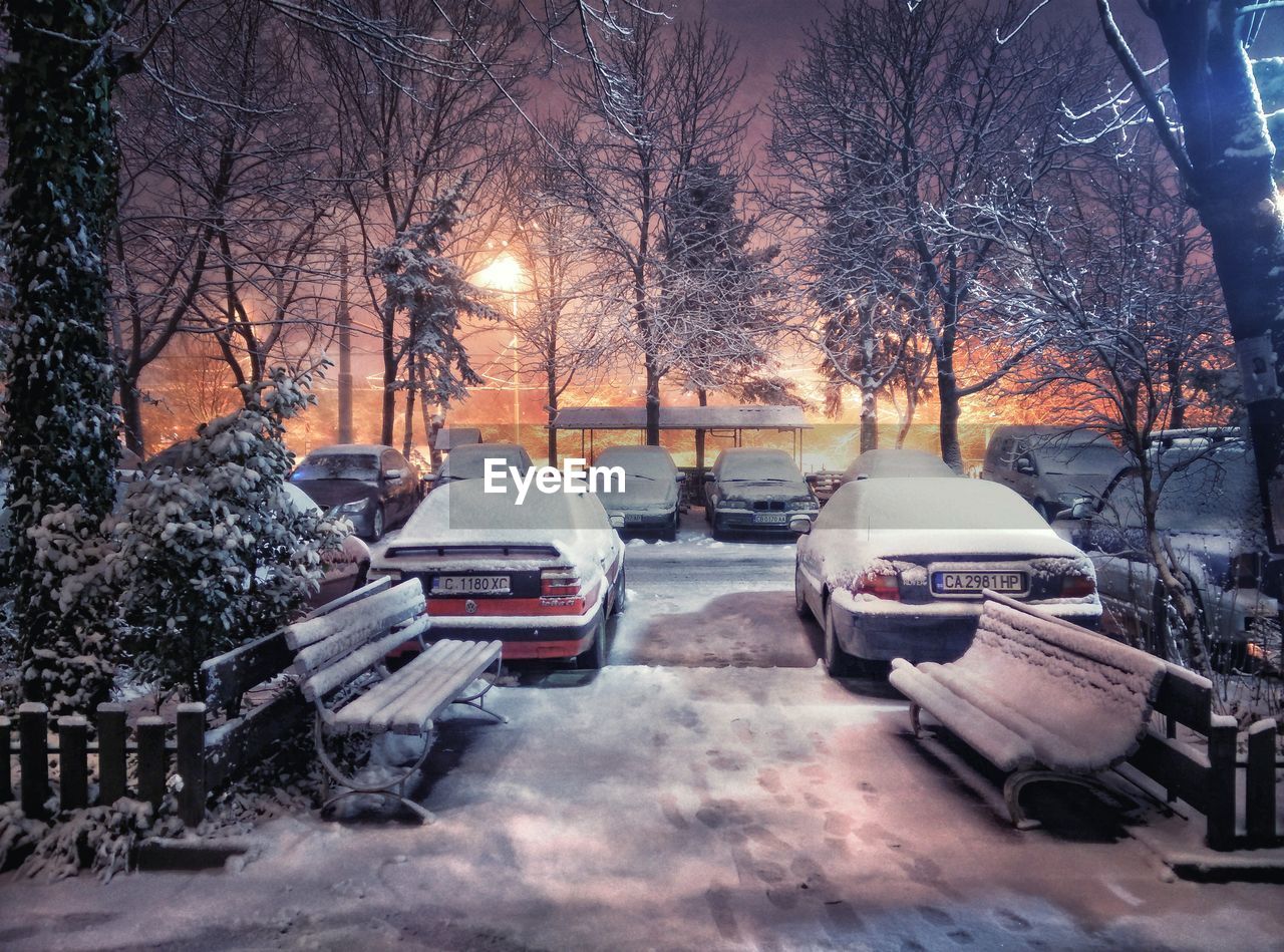 Snow covered cars by trees