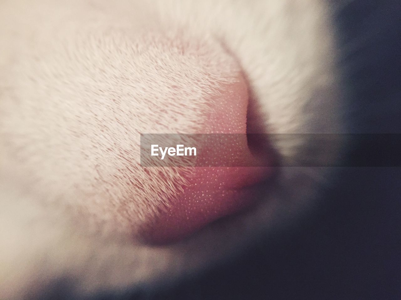 FULL FRAME SHOT OF HUMAN HAND