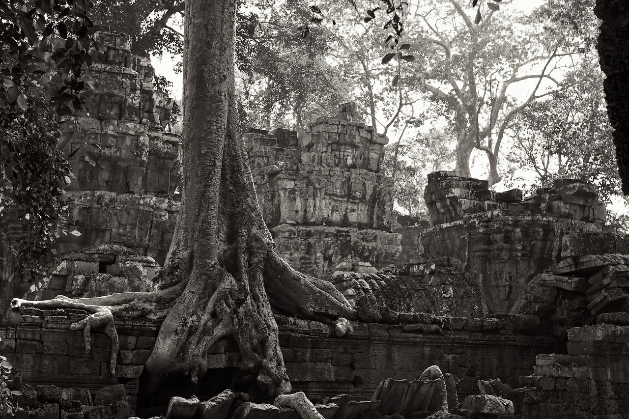 VIEW OF STATUE OF BUDDHA