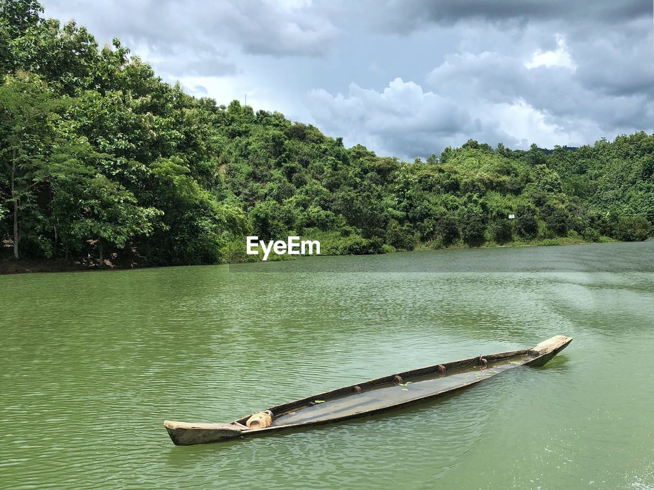Green at kaptai lake, rangamati
