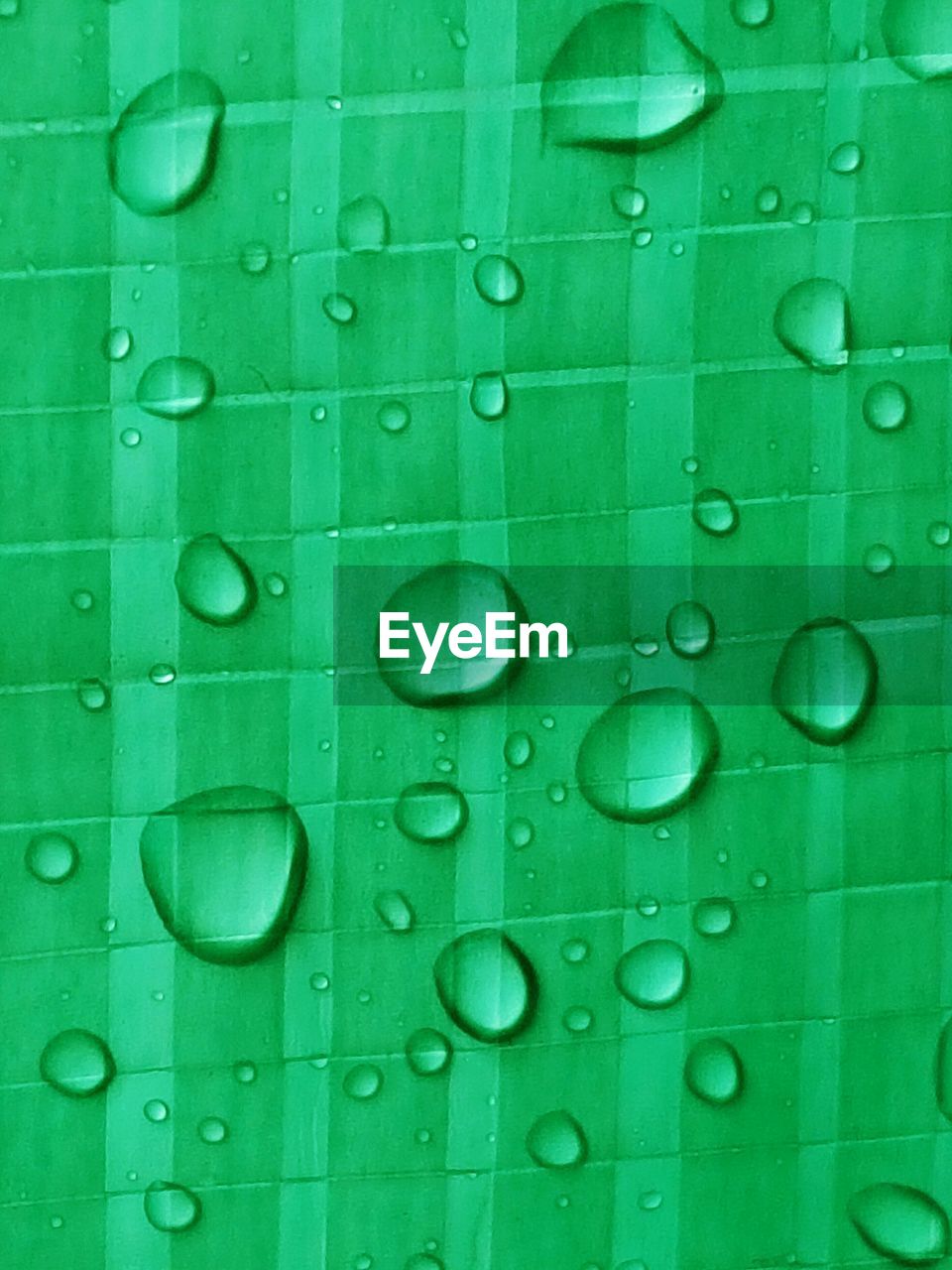 Full frame shot of water droplets on green plastic surface