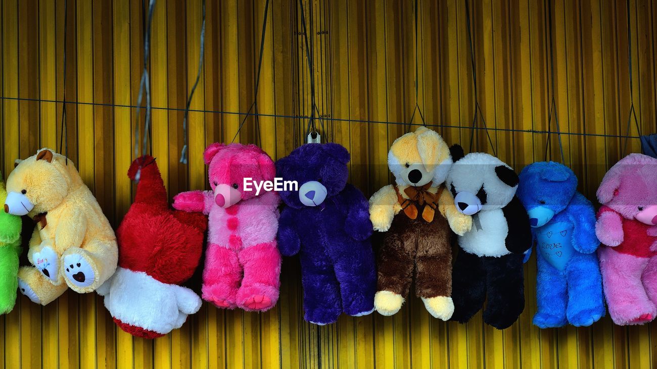 teddy market