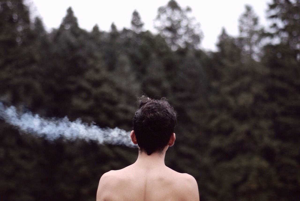 Rear view of shirtless boy