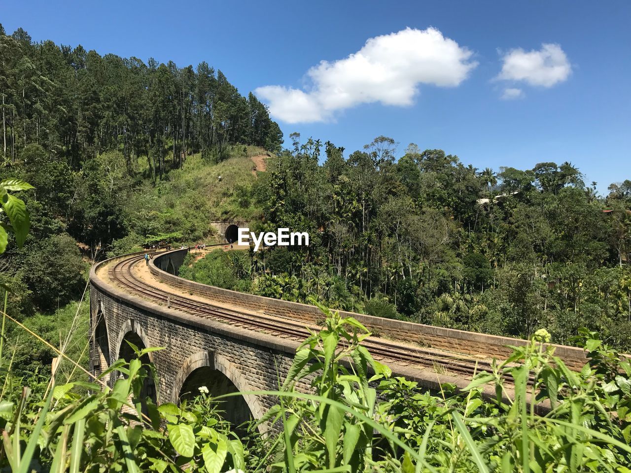 High angle view of railroad tracks amidst plants