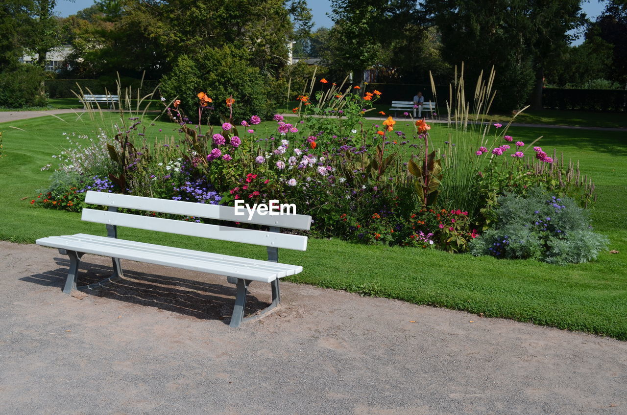 VIEW OF PARK BENCH