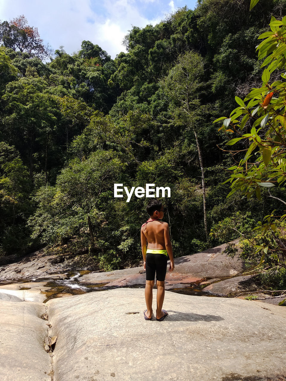 Rear view of shirtless boy standing on rock against trees in forest