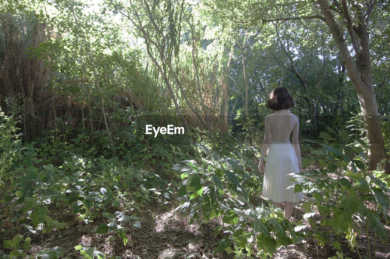 Rear view of woman standing at forest