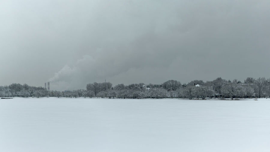 Trees on snow field against sky