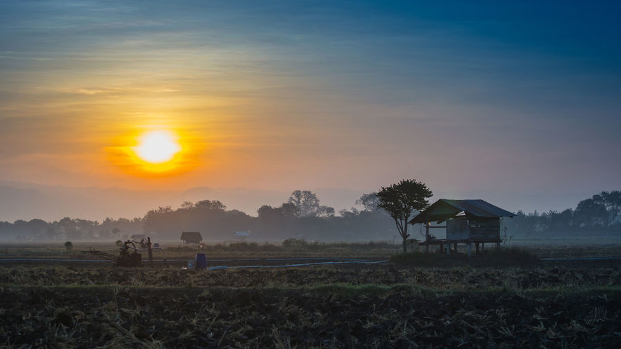 Scenic view of field against sky during sunset