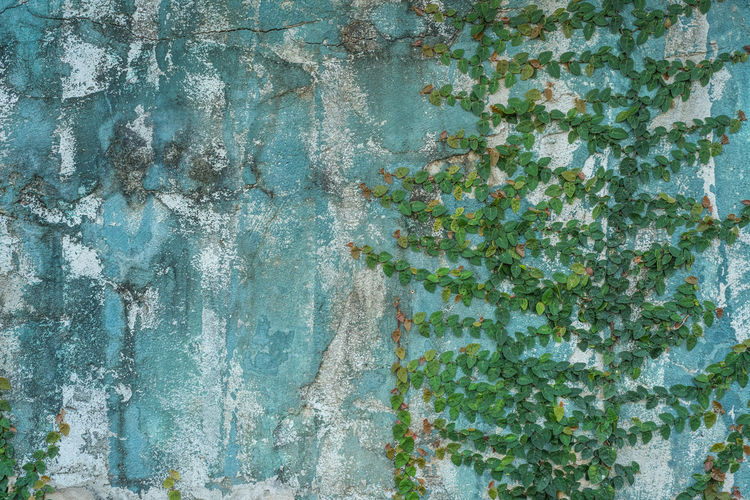 Full frame shot of old weathered wall
