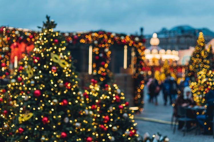 Illuminated christmas tree at night