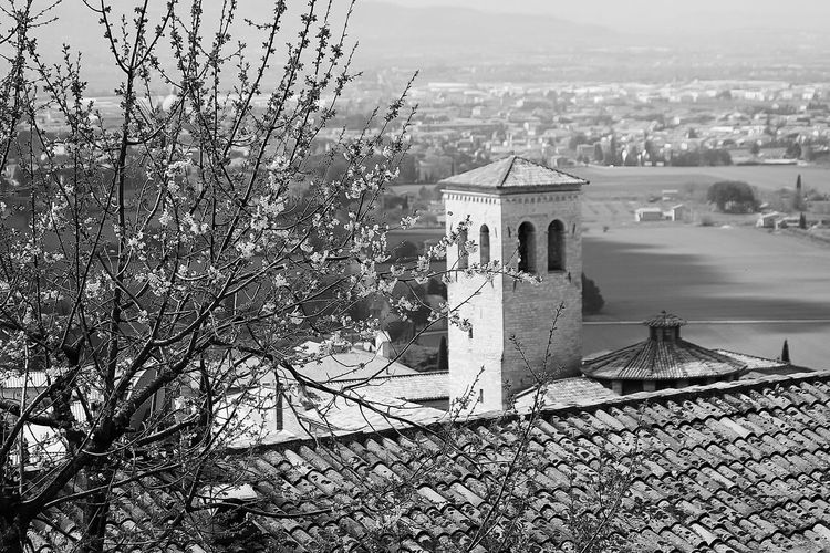 Buildings in city
