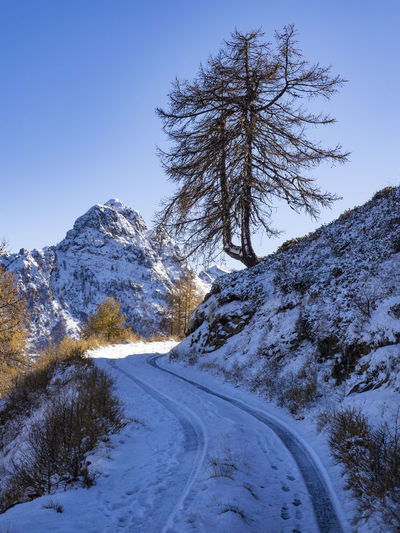 Snowy road in the italian alps