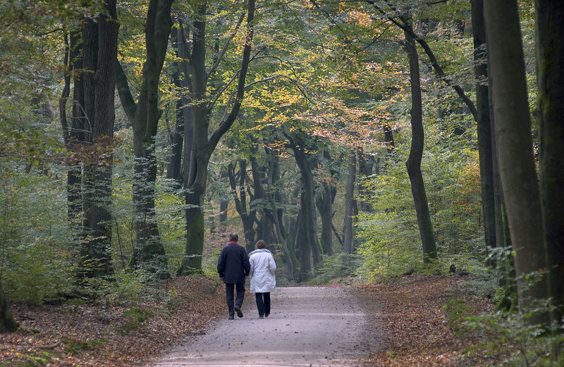 Rear view of couple walking on pathway amidst trees