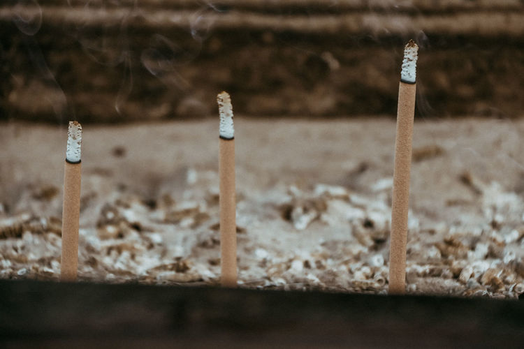 Close-up of incense sticks