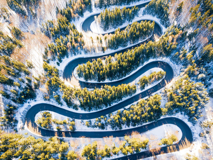 Aerial view of winding road amidst tress