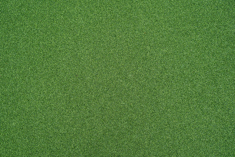 Full frame shot of green grass