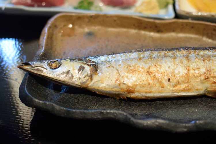 Close-up of fish