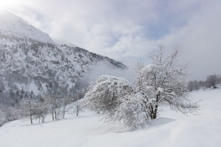 snow