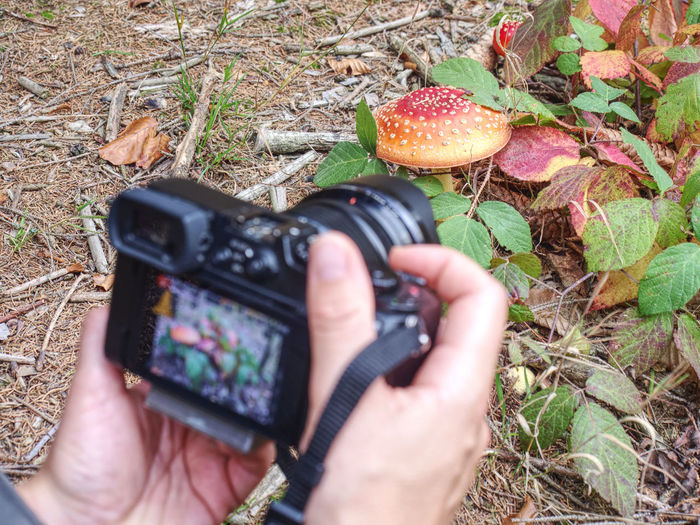 Woman taking pictures with a mirrorless camera in forest in the fall season. colorful leaves fallen