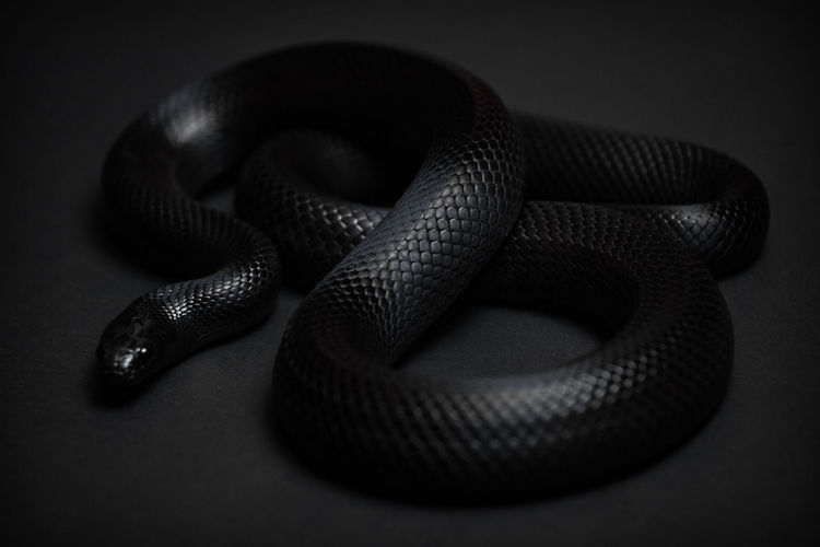 Close-up of a black background