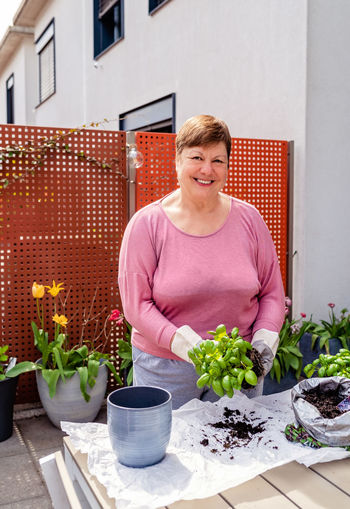 Senior happy caucasian woman in garden gloves replanting basil seedling at terrace kitchen garden