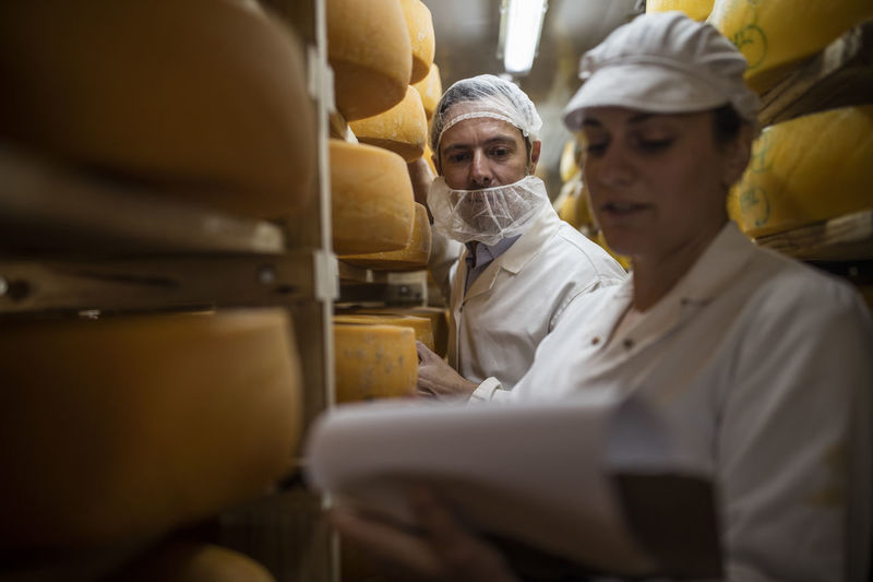 Cheese factory worker controlling maturation of cheese