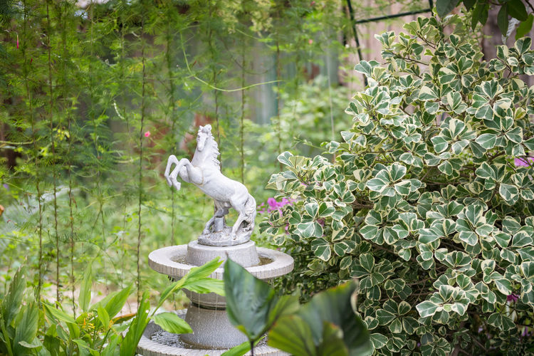 Low angle view of bird perching on tree