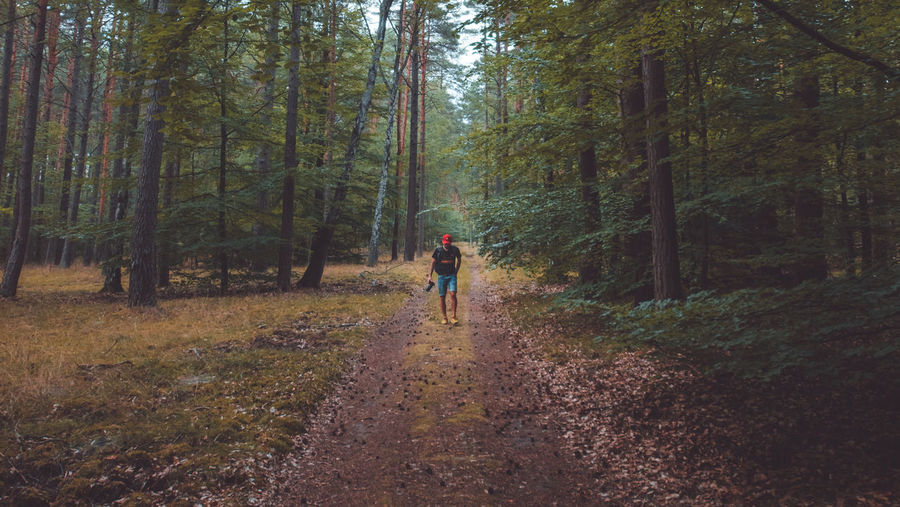 Rear view of person walking on road amidst trees in forest