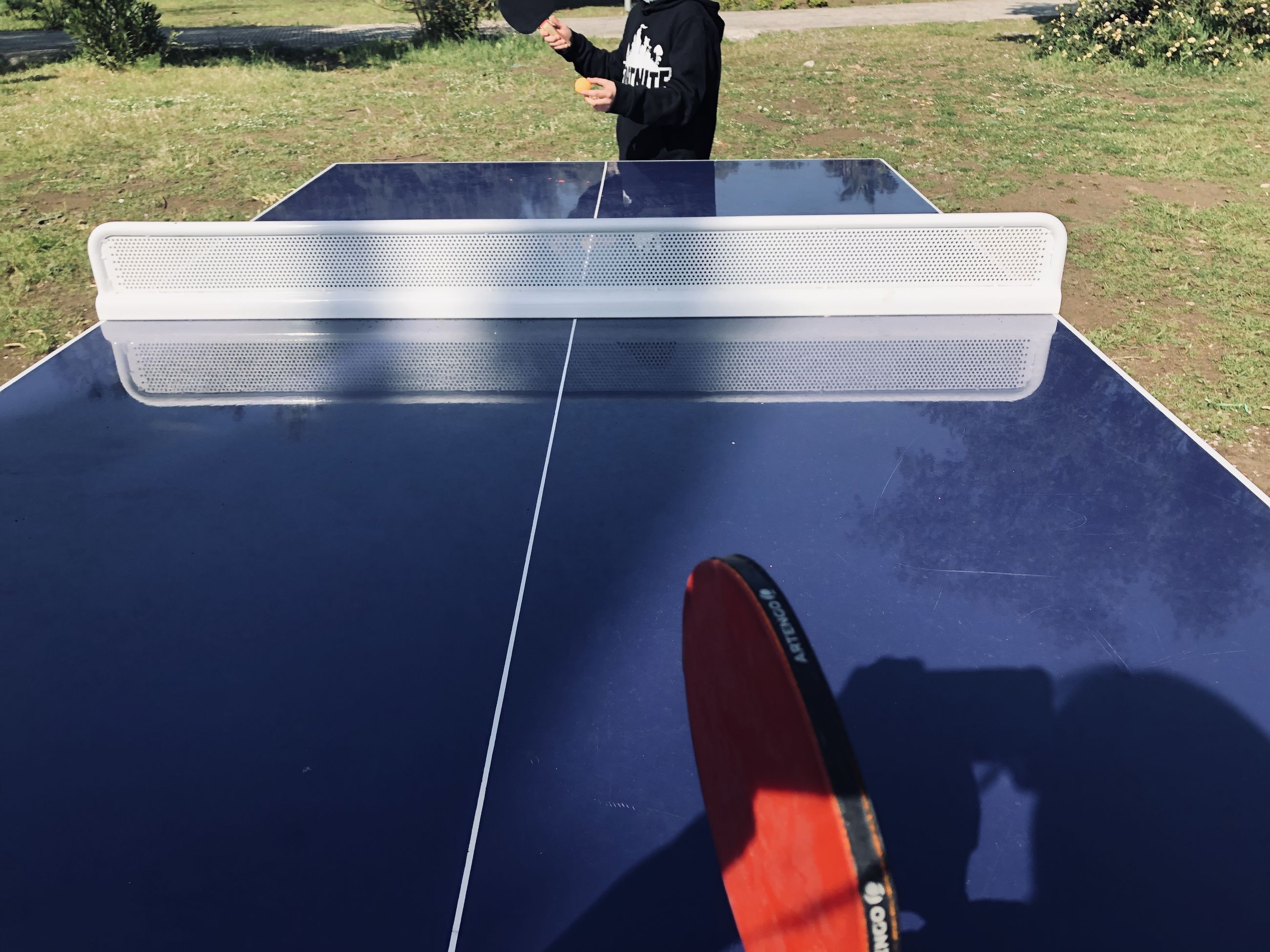 sports, leisure activity, one person, day, nature, men, lifestyles, table tennis, sports equipment, adult, outdoors, grass, plant, ping pong, sunlight