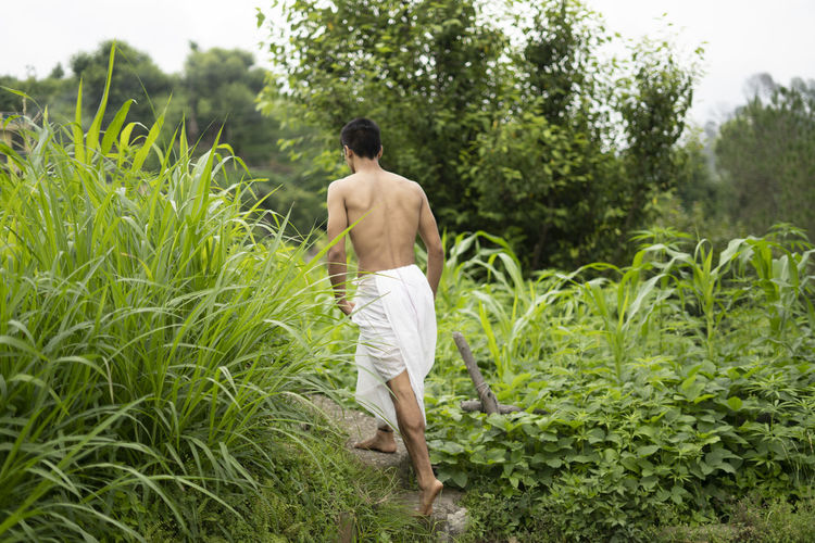 Young indian fit boy, walking on a pathway beside crops in the field. an indian priest walking.