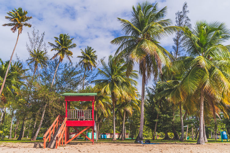 Empty bench by palm trees on beach against sky