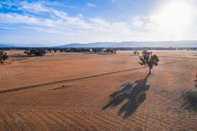 Aerial view of sunset over agricultural fields and trees in australia