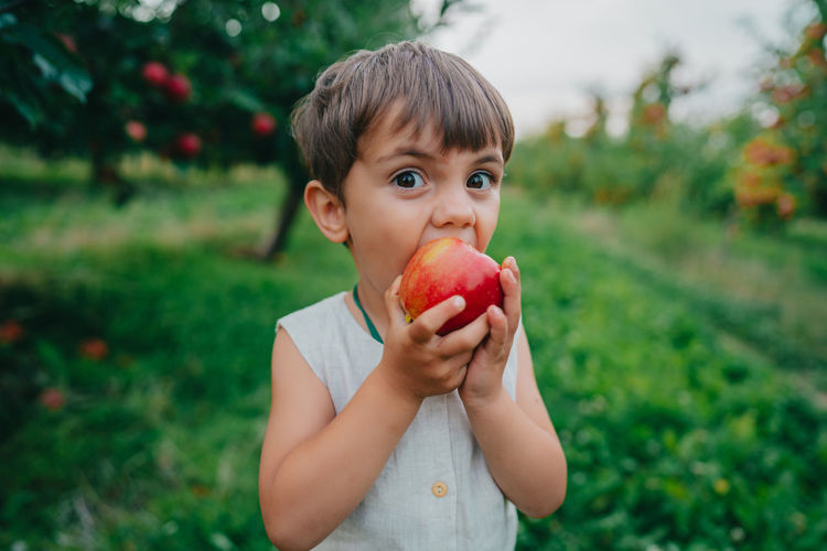 Portrait of boy eating apple against plants